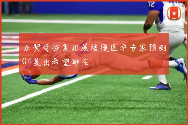 东契奇恢复进展缓慢医学专家预测G4复出希望渺茫