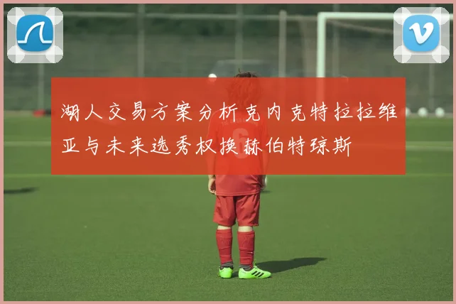 湖人交易方案分析克内克特拉拉维亚与未来选秀权换赫伯特琼斯
